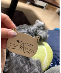 Accessorize | ヘアアクセサリー