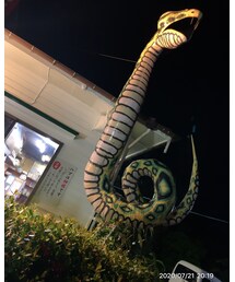 ヘビでなくハブ🐍 | その他