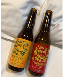 🍺 | その他