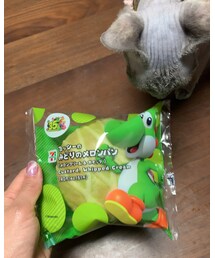 ヨッシー🦖 | その他