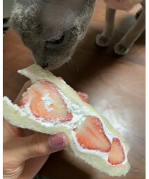 🍓3℃すきー | その他