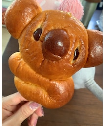 こあらぱん🐨 | その他