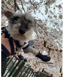かわ〜😻 | その他