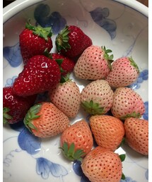いちご3種🍓🍓🍓 | その他