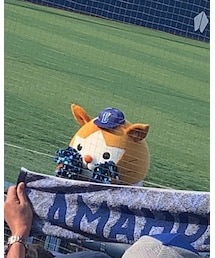 かわ😻 | その他