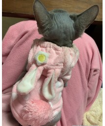 うさぎちゃん🐰？ | その他