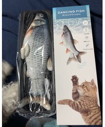魚のおもちゃ🐟 | その他
