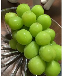立派なシャインマスカット🍇 | その他
