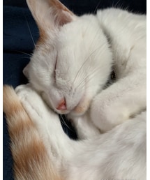幸せ❣️ | その他