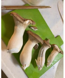 巨大エリンギ🍄 | その他