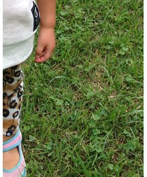 CHEAP MONDAY | その他パンツ