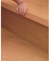 Familiar  | ワンピース