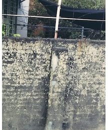 UNDEFEATED  | パーカー