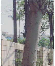 BEAMS | キャップ