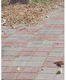 UNIQLO | チノパンツ