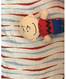 チャーリーブラウン | おもちゃ