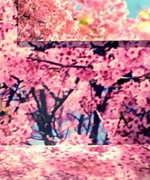 蜷川 実花 | その他