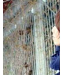 無印良品 | ストール/ショール