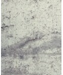 FACETASM(ファセッタズム)の「トップス(スウェット)」