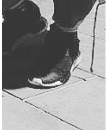 Y-3 | スニーカー