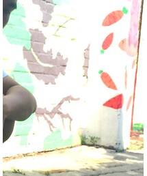 HANES | Tシャツ/カットソー