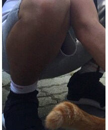 Supreme  | ソックス/靴下