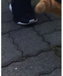 Y-3 | スニーカー