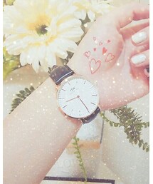 Daniel Wellington | アナログ腕時計