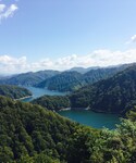 新潟の「その他(その他)」