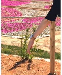 the horse | アナログ腕時計