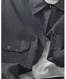 Dickies | シャツ/ブラウス