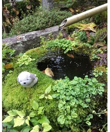 満願寺(長野)② | トラベルグッズ