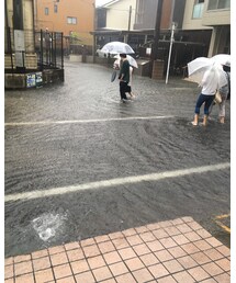 職場、浸水危機 | おもちゃ