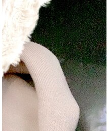 MONCLER | ダウンジャケット/コート