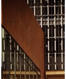 Ray-Ban | サングラス