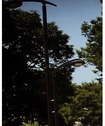 Ray-Ban | サングラス