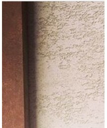 Ray-Ban | サングラス