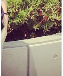 NineMicrophones | その他パンツ