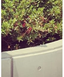 NineMicrophones | キーホルダー