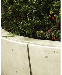 NineMicrophones | その他パンツ