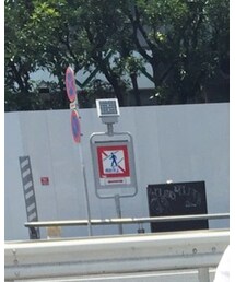 Ray-Ban | サングラス