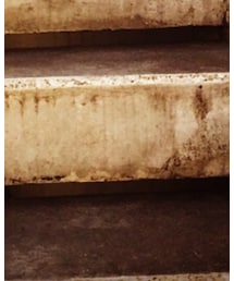 DADA | スニーカー