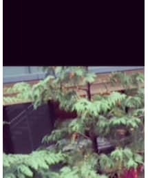 Ray-Ban | サングラス