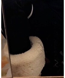 UGG Australia | その他シューズ