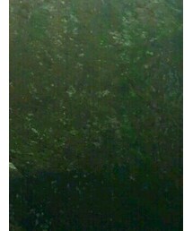 no brand | Tシャツ/カットソー