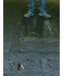 adidas | スニーカー