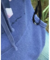 Hollister | パーカー