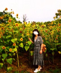 used | ワンピース:grimoire almadel(ワンピース)