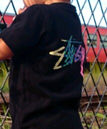 STUSSY | Tシャツ/カットソー