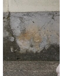 GU | スニーカー